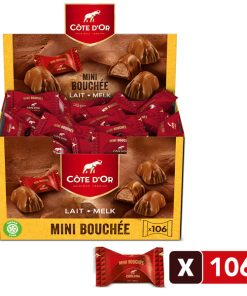 Côte d'or MINI BOUCHÉE (106 st)